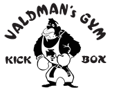 valdman_logo_png_mini